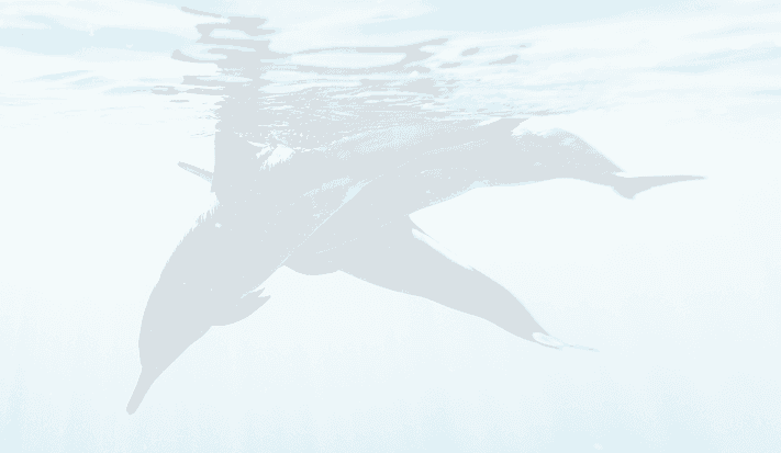 Footer mobile background